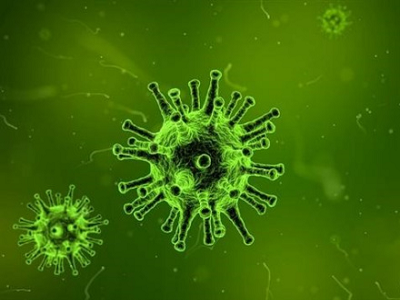 Antigen cepat ITU APA: Karakteristik virus